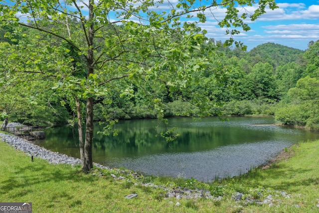 property view of water