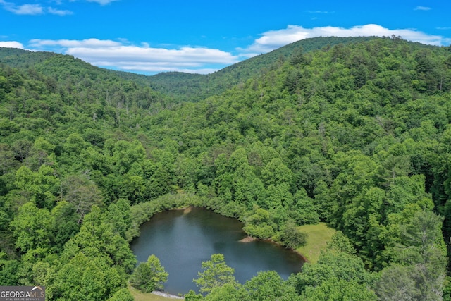 property view of mountains featuring a water view