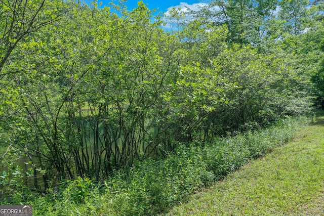 view of local wilderness