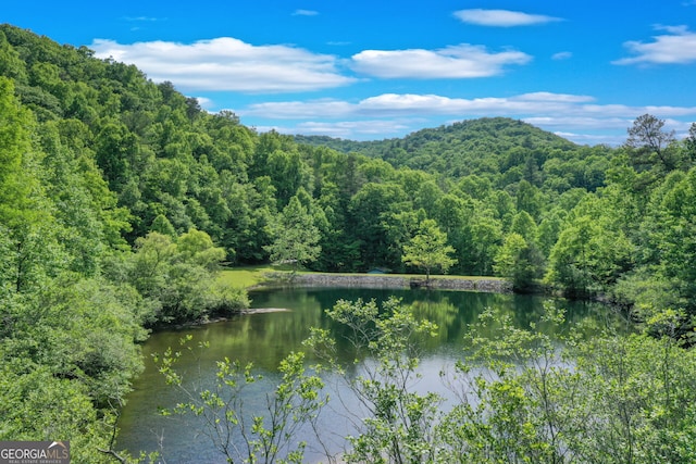 property view of water