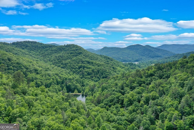 property view of mountains with a water view