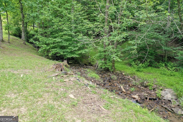 view of local wilderness