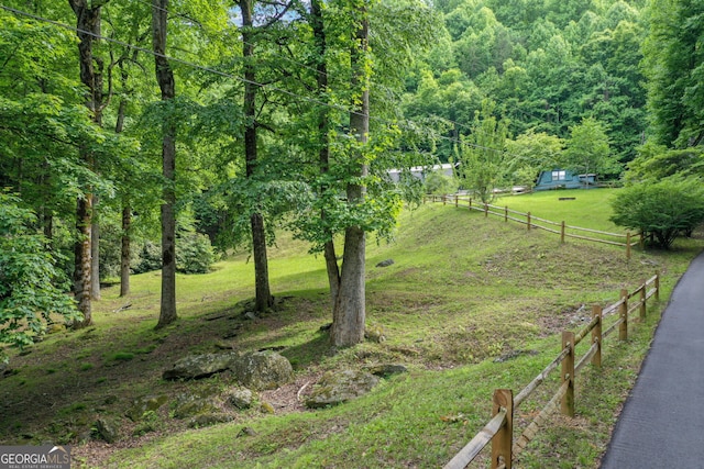 view of yard featuring a rural view