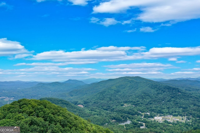 view of mountain feature