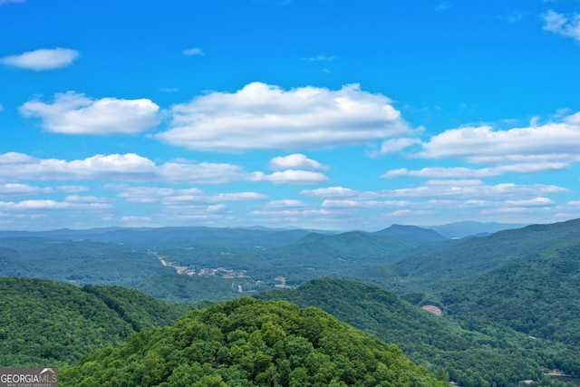 view of mountain feature