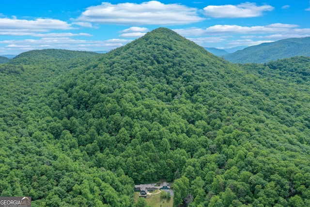 property view of mountains