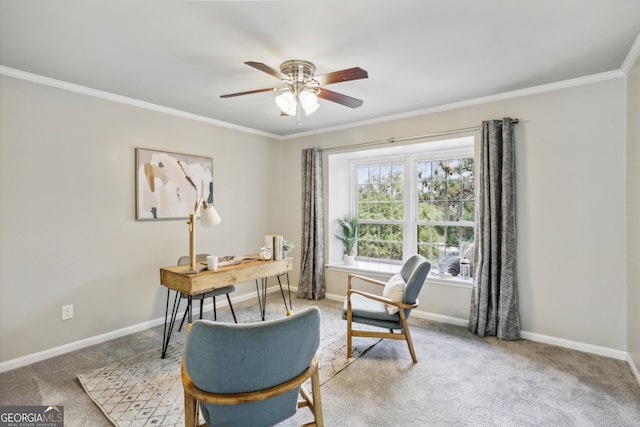 carpeted office space featuring ceiling fan and ornamental molding