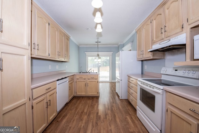 kitchen with dark hardwood / wood-style flooring, ornamental molding, pendant lighting, light brown cabinetry, and white appliances