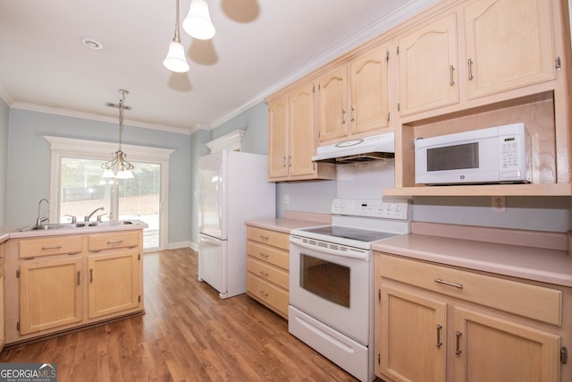 kitchen with sink, ornamental molding, pendant lighting, light hardwood / wood-style flooring, and white appliances