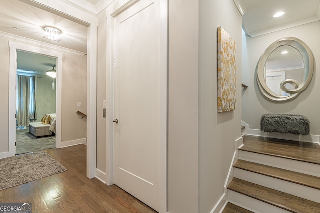 hallway featuring hardwood / wood-style floors and ornamental molding