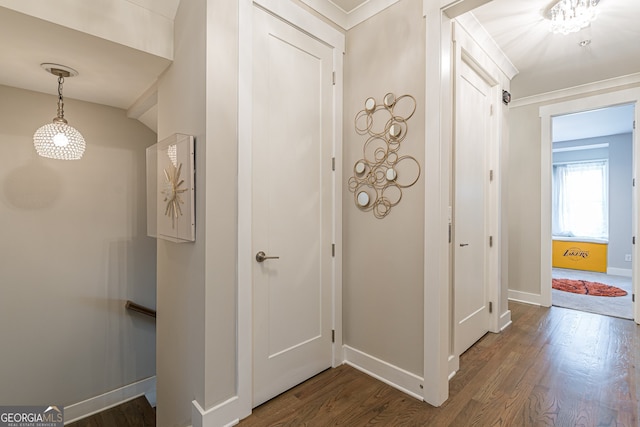 corridor with dark wood-type flooring