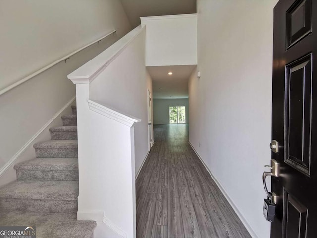 foyer featuring a high ceiling and wood-type flooring