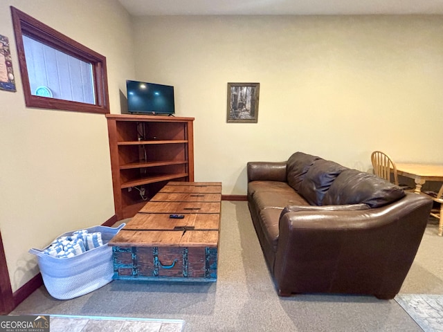 living room with carpet