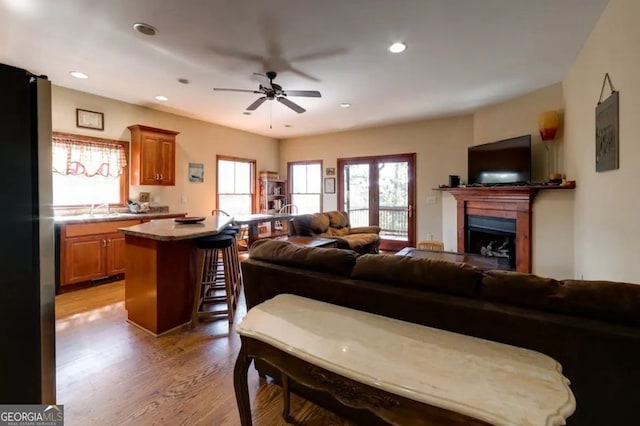 living room featuring hardwood / wood-style floors and ceiling fan