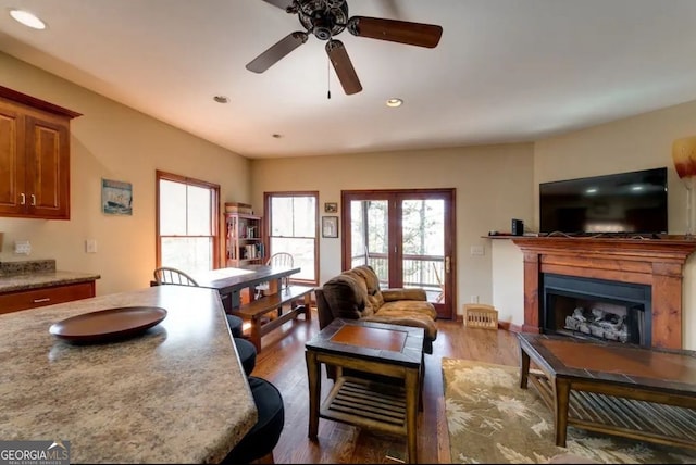 living room featuring dark hardwood / wood-style floors and ceiling fan