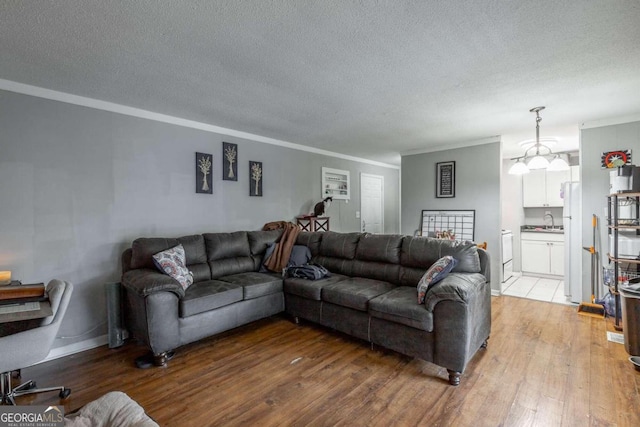 living room with sink, hardwood / wood-style floors, crown molding, and a textured ceiling