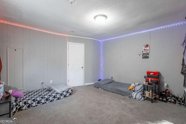 interior space with carpet, wood walls, and a textured ceiling