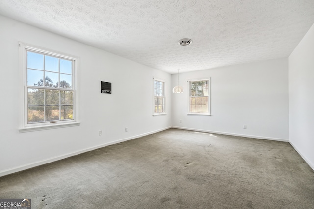 unfurnished room featuring carpet flooring, plenty of natural light, and a textured ceiling