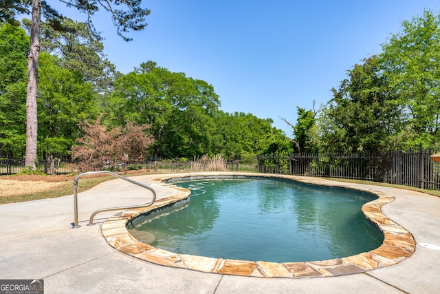 view of pool with a patio area