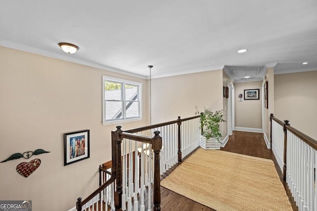 hallway with dark hardwood / wood-style floors and ornamental molding