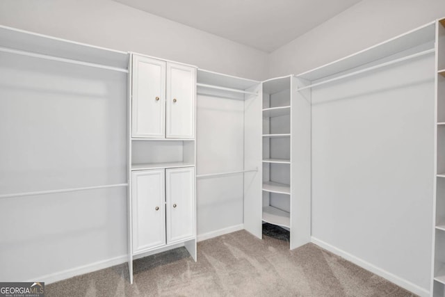 spacious closet featuring light colored carpet