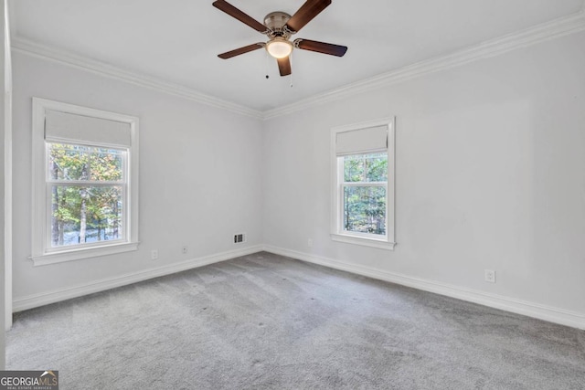 empty room with plenty of natural light, crown molding, and carpet floors