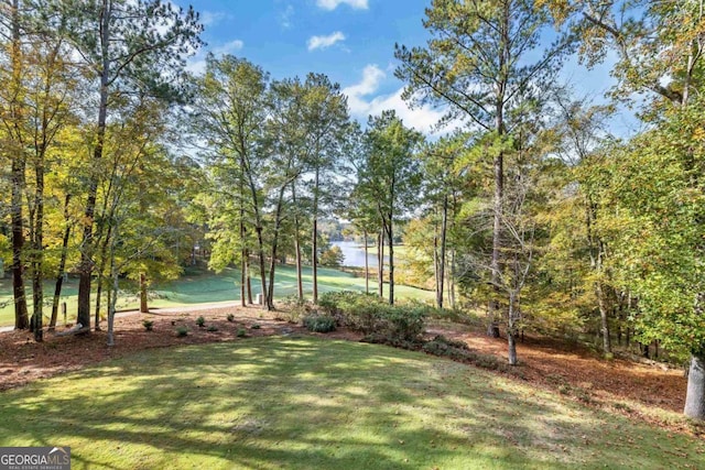 view of yard featuring a water view