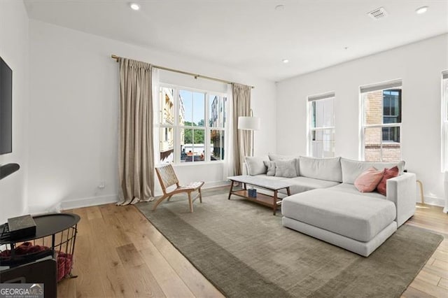 living room with light wood-type flooring and a wealth of natural light