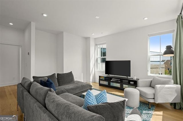 living room featuring light hardwood / wood-style floors