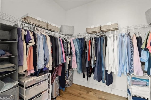 walk in closet with hardwood / wood-style floors