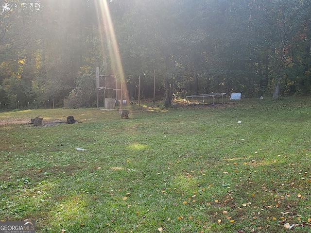 view of yard featuring a trampoline