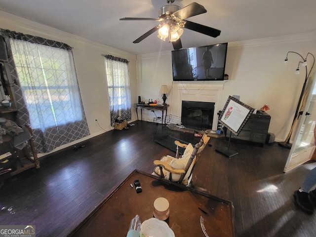 living room featuring crown molding, ceiling fan, and wood-type flooring