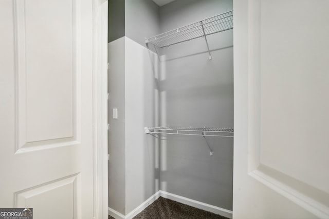 view of walk in closet