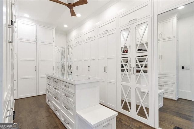 885 Crabapple Hl, Milton, GA 30004 - walk in closet with dark hardwood / wood-style floors