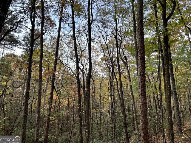 0 Zion Hill Rd, Ellijay, GA 30540
