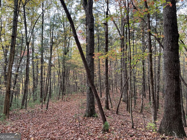 0 Zion Hill Rd, Ellijay, GA 30540