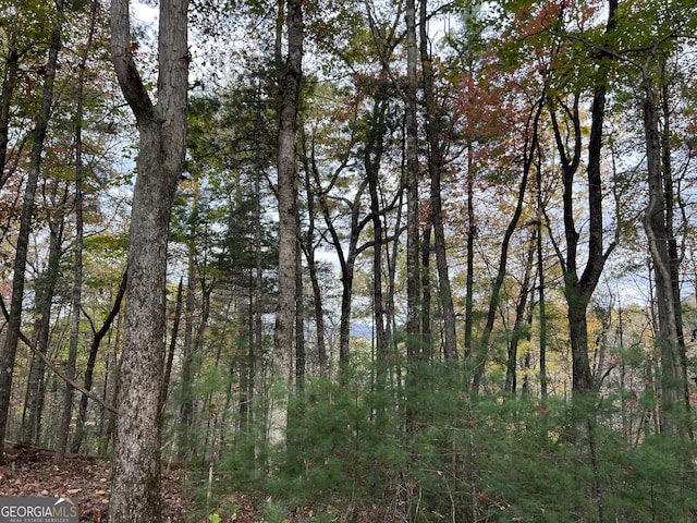 0 Zion Hill Rd, Ellijay, GA 30540