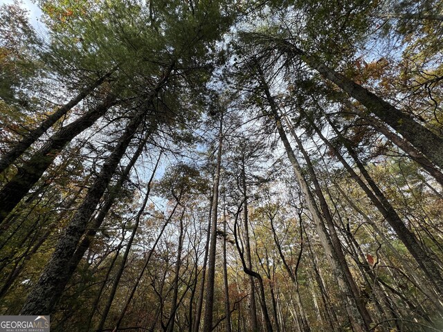 0 Zion Hill Rd, Ellijay, GA 30540
