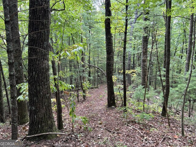 0 Zion Hill Rd, Ellijay, GA 30540