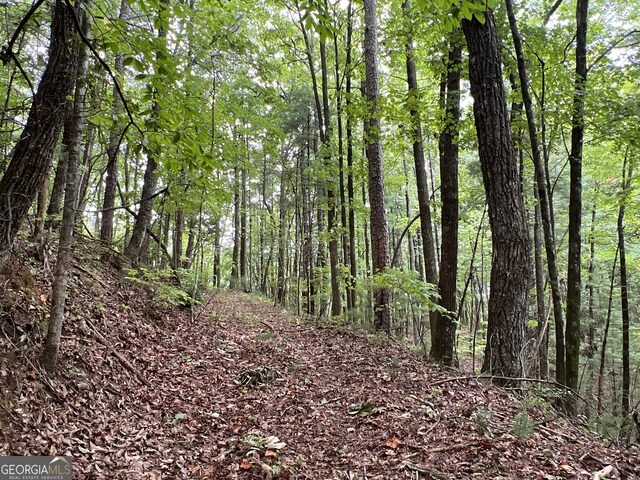 0 Zion Hill Rd, Ellijay, GA 30540