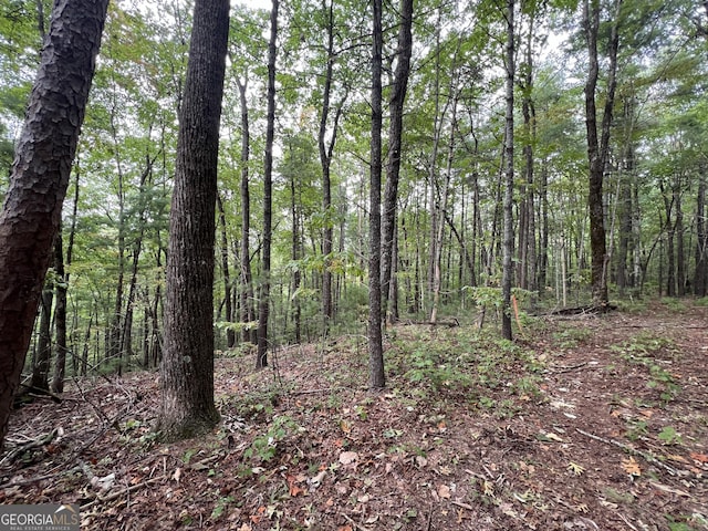 0 Zion Hill Rd, Ellijay, GA 30540