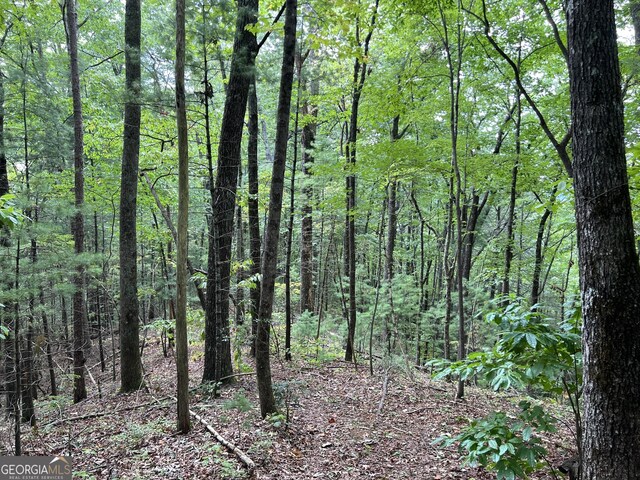 0 Zion Hill Rd, Ellijay, GA 30540