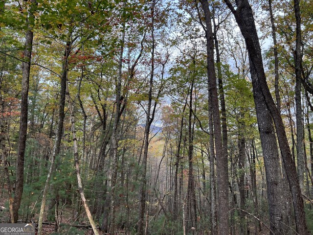 0 Zion Hill Rd, Ellijay, GA 30540