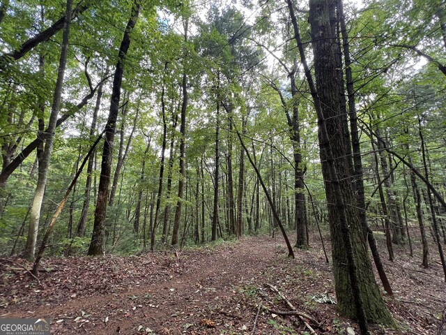 0 Zion Hill Rd, Ellijay, GA 30540