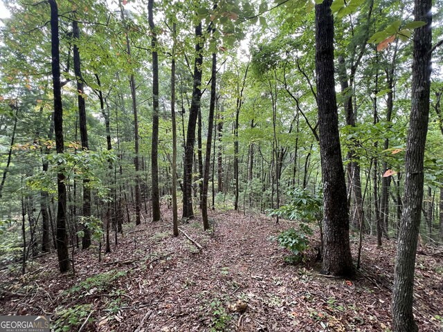 0 Zion Hill Rd, Ellijay, GA 30540