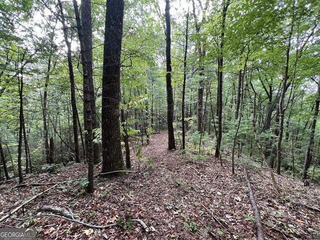 0 Zion Hill Rd, Ellijay, GA 30540