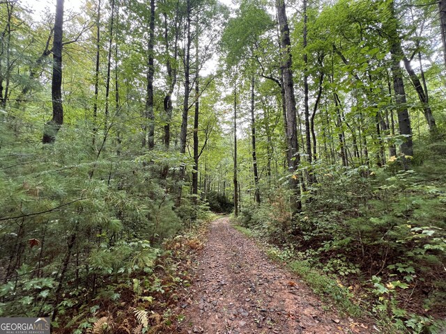 0 Zion Hill Rd, Ellijay, GA 30540