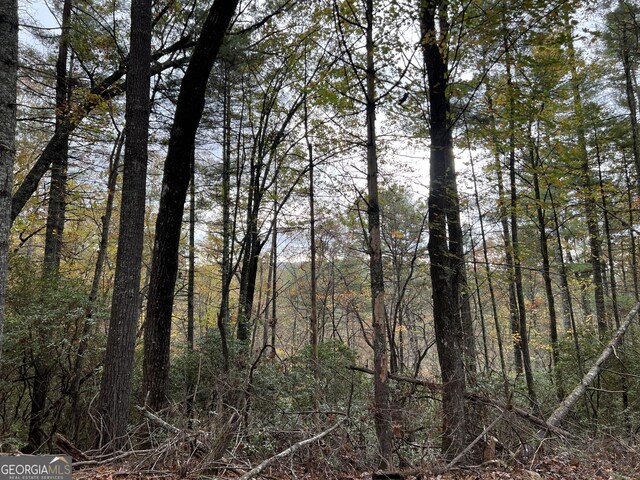 0 Zion Hill Rd, Ellijay, GA 30540