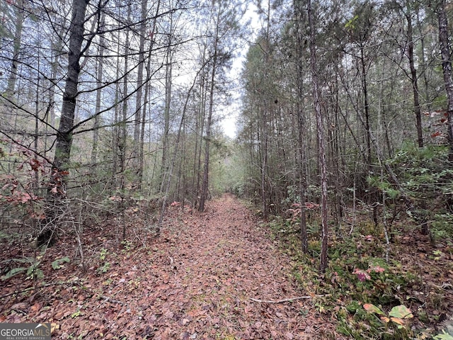 0 Zion Hill Rd, Ellijay, GA 30540