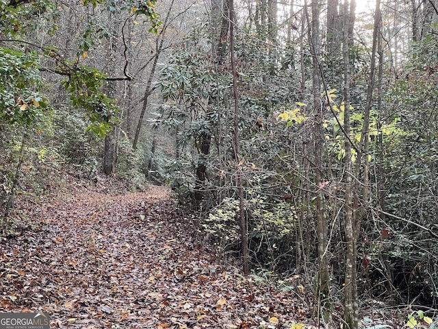 0 Zion Hill Rd, Ellijay, GA 30540